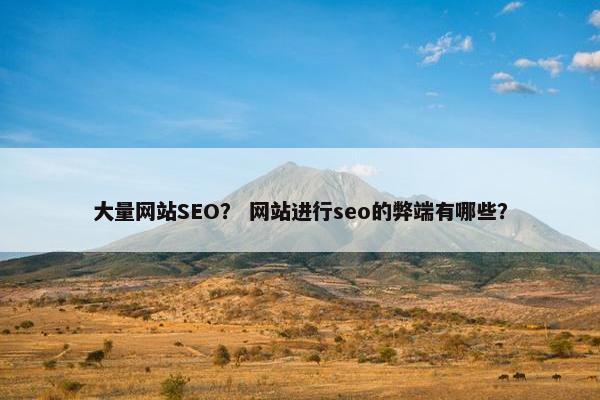 大量网站SEO？ 网站进行seo的弊端有哪些？