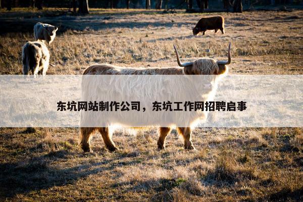 东坑网站制作公司，东坑工作网招聘启事