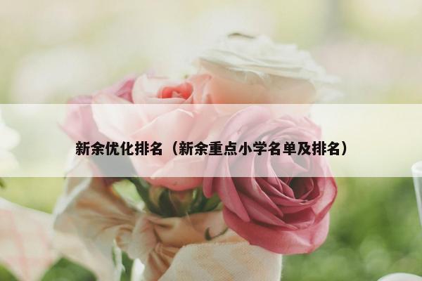 新余优化排名（新余重点小学名单及排名）