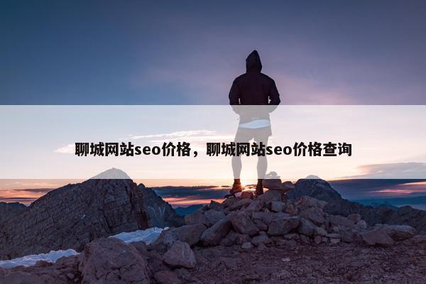 聊城网站seo价格，聊城网站seo价格查询