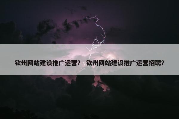 钦州网站建设推广运营？ 钦州网站建设推广运营招聘？