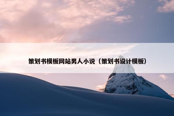 策划书模板网站男人小说（策划书设计模板）