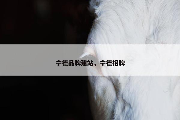 宁德品牌建站，宁德招牌