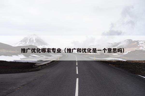 推广优化哪家专业（推广和优化是一个意思吗）