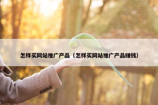 怎样买网站推广产品（怎样买网站推广产品赚钱）