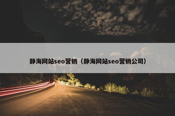 静海网站seo营销（静海网站seo营销公司）
