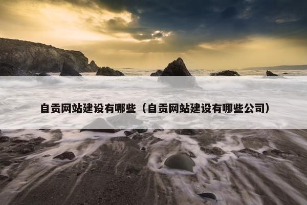 自贡网站建设有哪些（自贡网站建设有哪些公司）