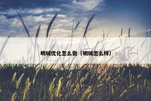 明城优化怎么做（明城怎么样）