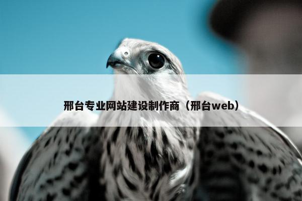 邢台专业网站建设制作商（邢台web）