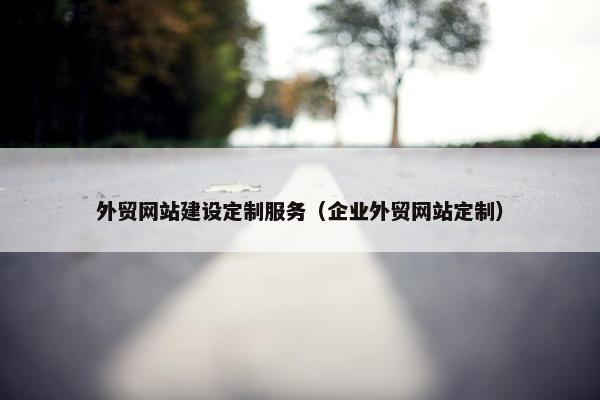 外贸网站建设定制服务（企业外贸网站定制）