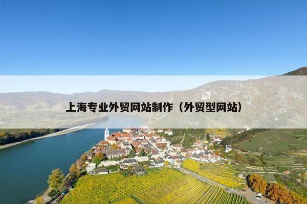 上海专业外贸网站制作（外贸型网站）
