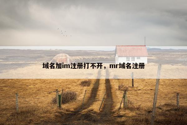 域名加im注册打不开，mr域名注册