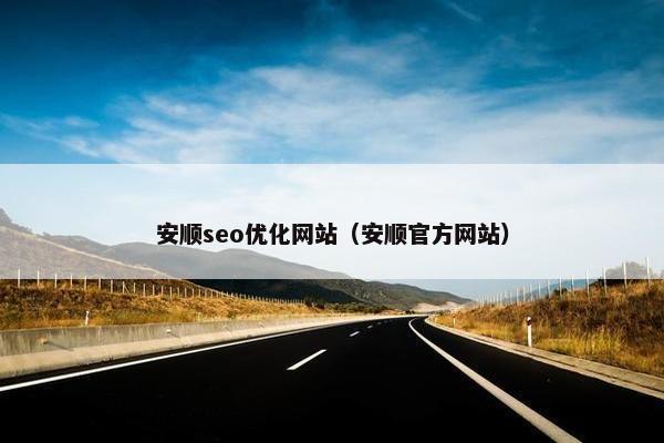 安顺seo优化网站（安顺官方网站）
