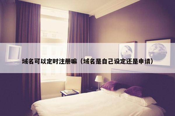 域名可以定时注册嘛（域名是自己设定还是申请）