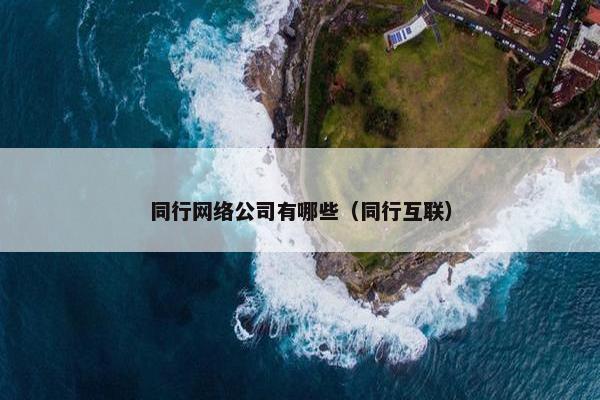 同行网络公司有哪些（同行互联）
