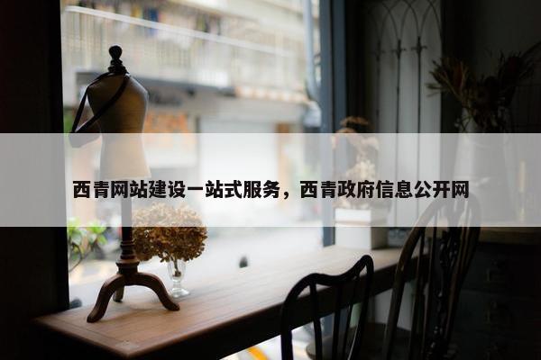 西青网站建设一站式服务，西青政府信息公开网