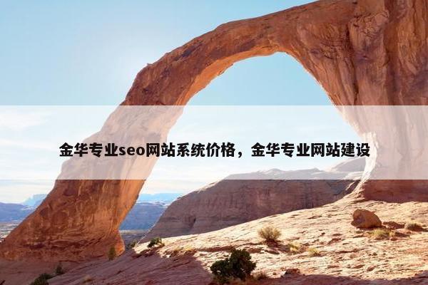 金华专业seo网站系统价格，金华专业网站建设