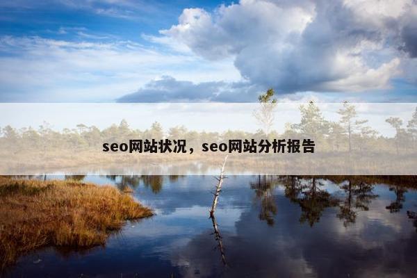 seo网站状况，seo网站分析报告