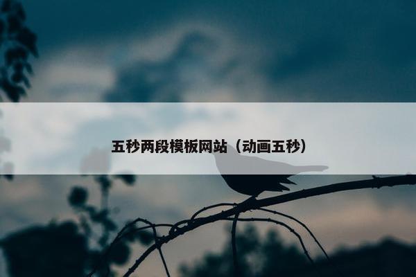 五秒两段模板网站（动画五秒）
