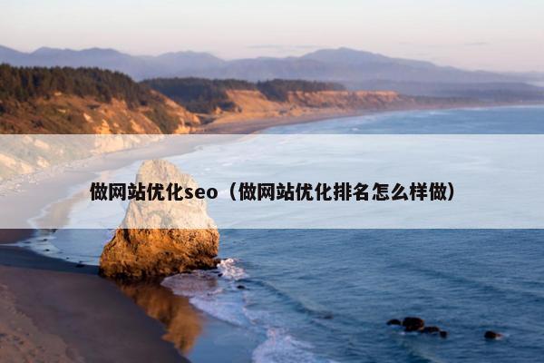 做网站优化seo（做网站优化排名怎么样做）
