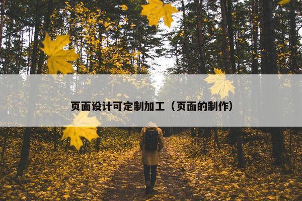 页面设计可定制加工（页面的制作）
