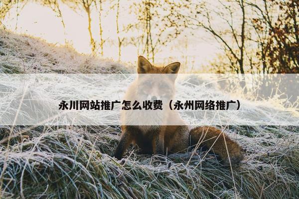 永川网站推广怎么收费（永州网络推广）