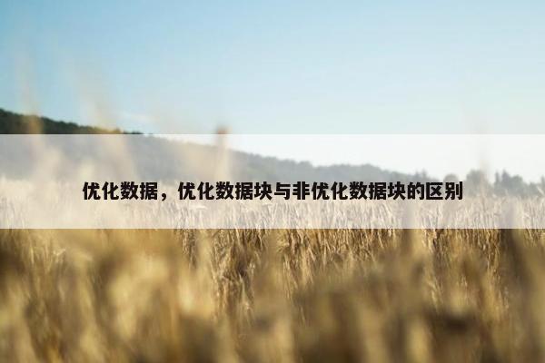 优化数据，优化数据块与非优化数据块的区别