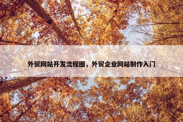 外贸网站开发流程图，外贸企业网站制作入门