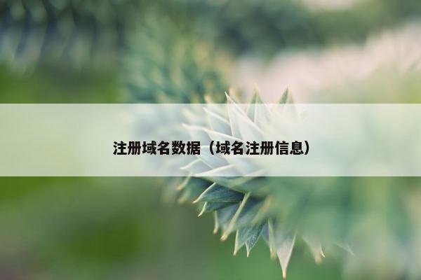 注册域名数据（域名注册信息）