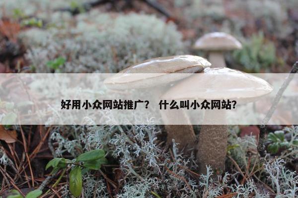 好用小众网站推广？ 什么叫小众网站？