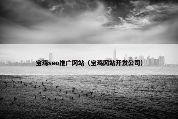 宝鸡seo推广网站（宝鸡网站开发公司）