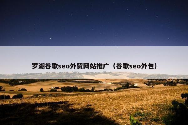 罗湖谷歌seo外贸网站推广（谷歌seo外包）