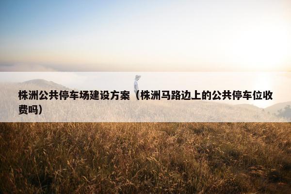 株洲公共停车场建设方案（株洲马路边上的公共停车位收费吗）