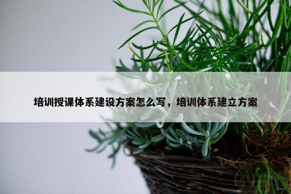 培训授课体系建设方案怎么写，培训体系建立方案