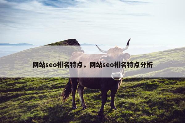网站seo排名特点，网站seo排名特点分析