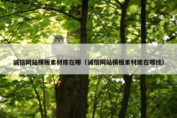 诚信网站模板素材库在哪（诚信网站模板素材库在哪找）