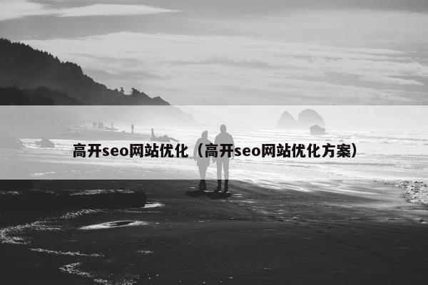 高开seo网站优化（高开seo网站优化方案）