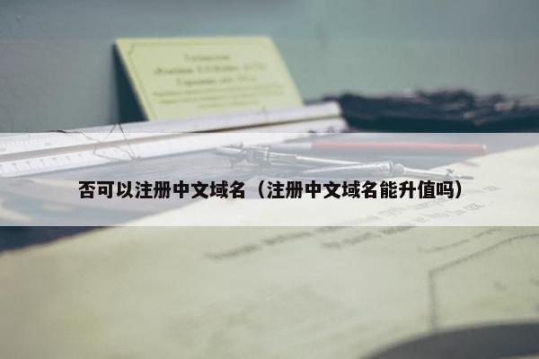 否可以注册中文域名（注册中文域名能升值吗）