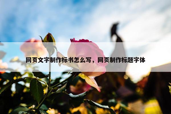 网页文字制作标书怎么写，网页制作标题字体