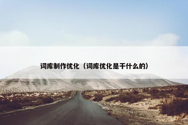 词库制作优化（词库优化是干什么的）