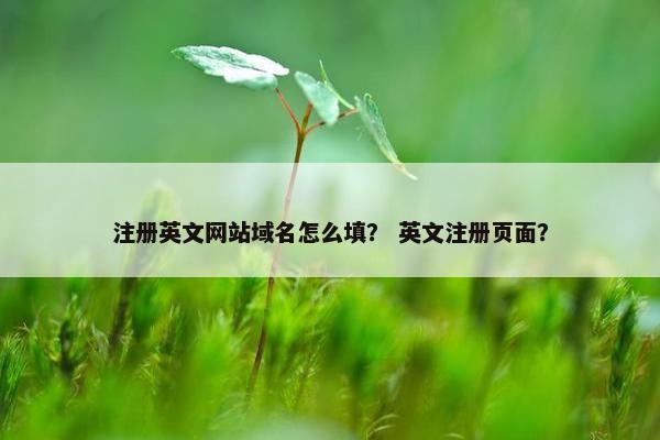 注册英文网站域名怎么填？ 英文注册页面？