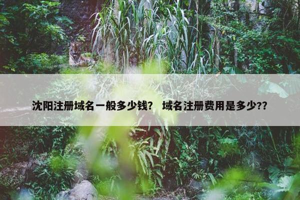 沈阳注册域名一般多少钱？ 域名注册费用是多少?？