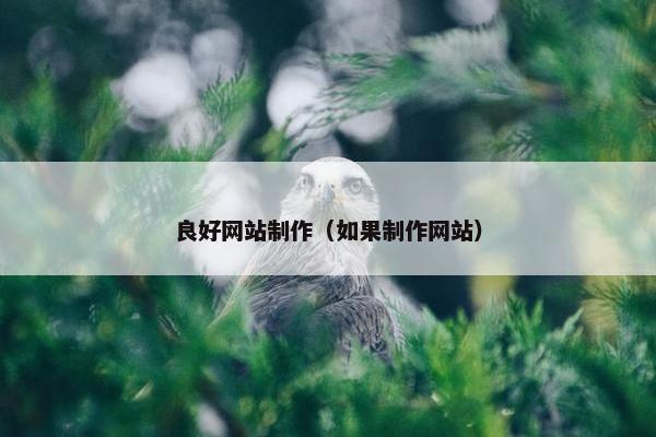 良好网站制作（如果制作网站）