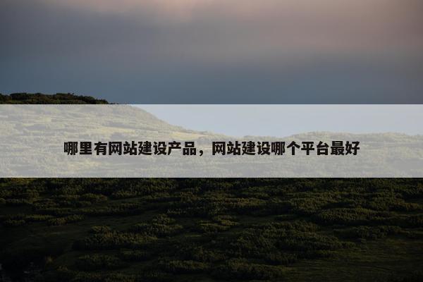 哪里有网站建设产品，网站建设哪个平台最好