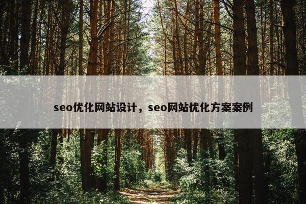 seo优化网站设计，seo网站优化方案案例