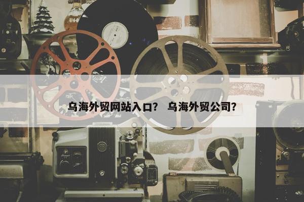 乌海外贸网站入口？ 乌海外贸公司？
