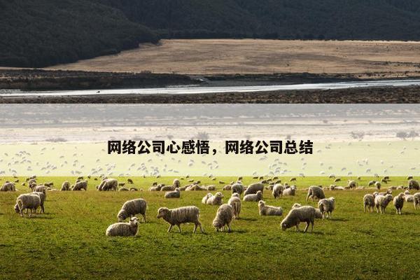 网络公司心感悟，网络公司总结
