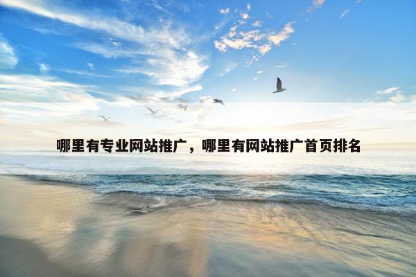 哪里有专业网站推广，哪里有网站推广首页排名