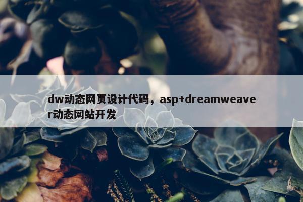 dw动态网页设计代码，asp+dreamweaver动态网站开发