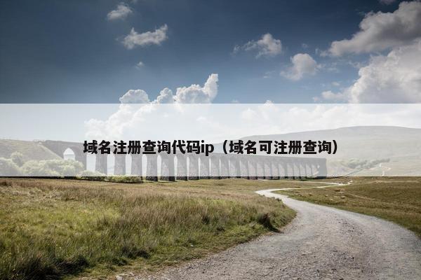 域名注册查询代码ip（域名可注册查询）